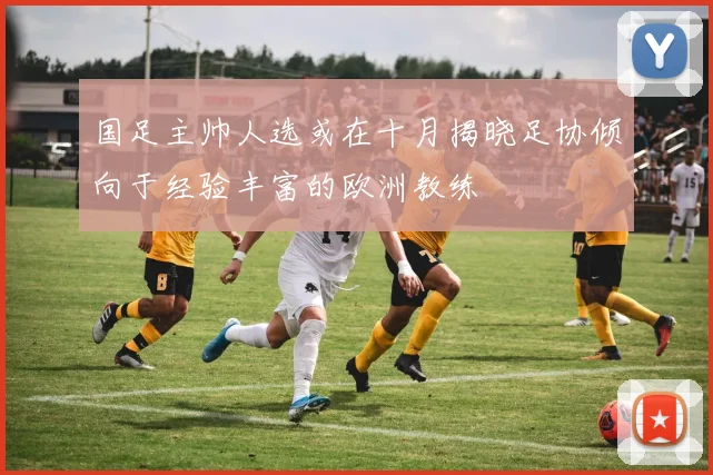 国足主帅人选或在十月揭晓足协倾向于经验丰富的欧洲教练