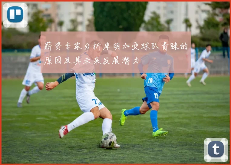 薪资专家分析库明加受球队青睐的原因及其未来发展潜力