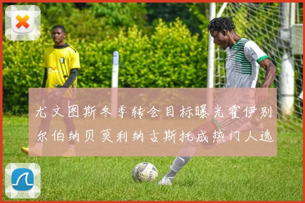 尤文图斯冬季转会目标曝光霍伊别尔伯纳贝莫利纳古斯托成热门人选
