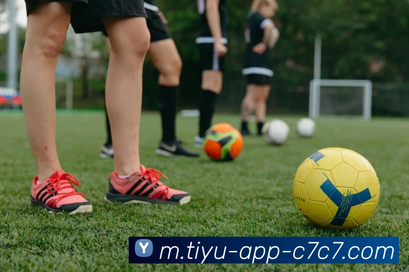 App Interface Preview